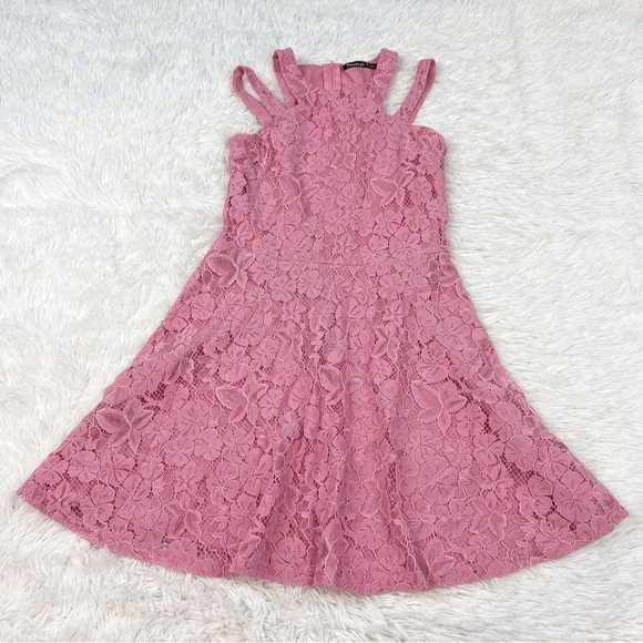 Penelope Tree sleeveless lace fit and flare dress in pink - Picture 1 of 8
